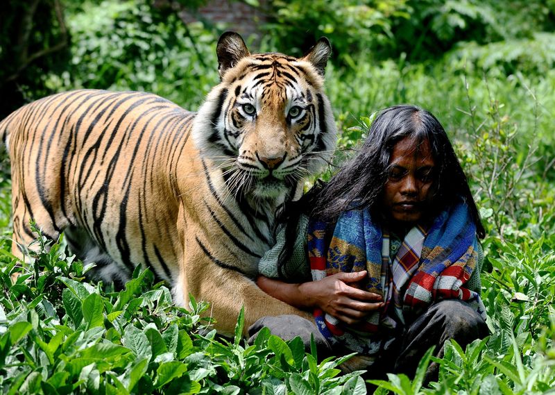 Freundschaft mit einem Tiger