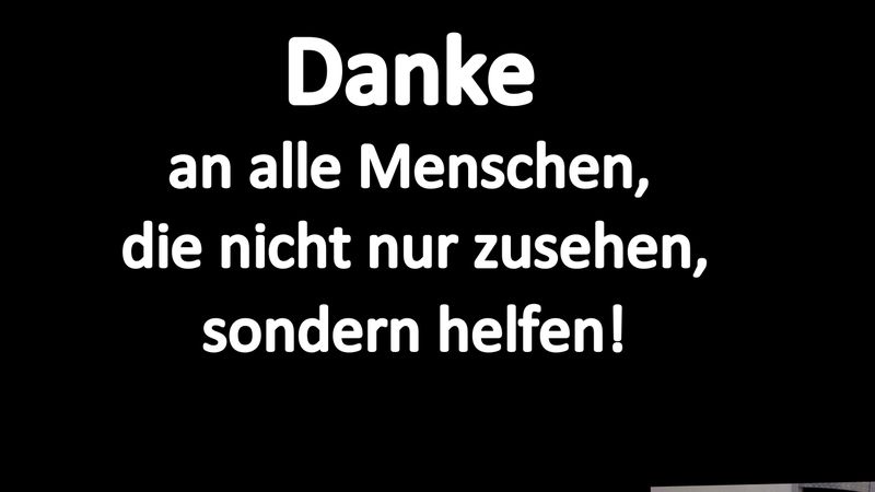 Dramatische und herzergreifende Tierrettungen