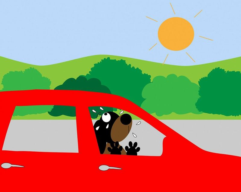 Hund im Auto - Darf man die Scheibe einschlagen?