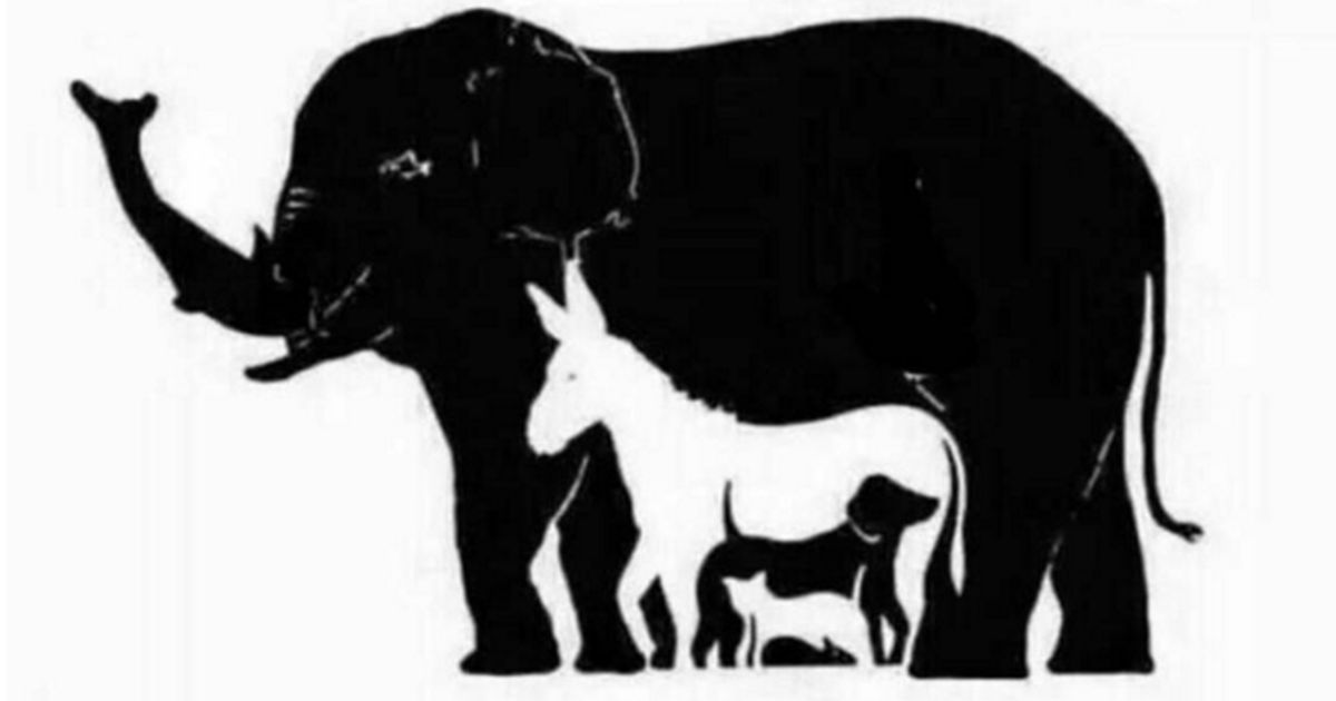 Wieviele Tiere kannst du in diesem Bild sehen?