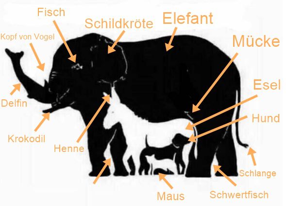 Wieviele Tiere kannst du in diesem Bild sehen?