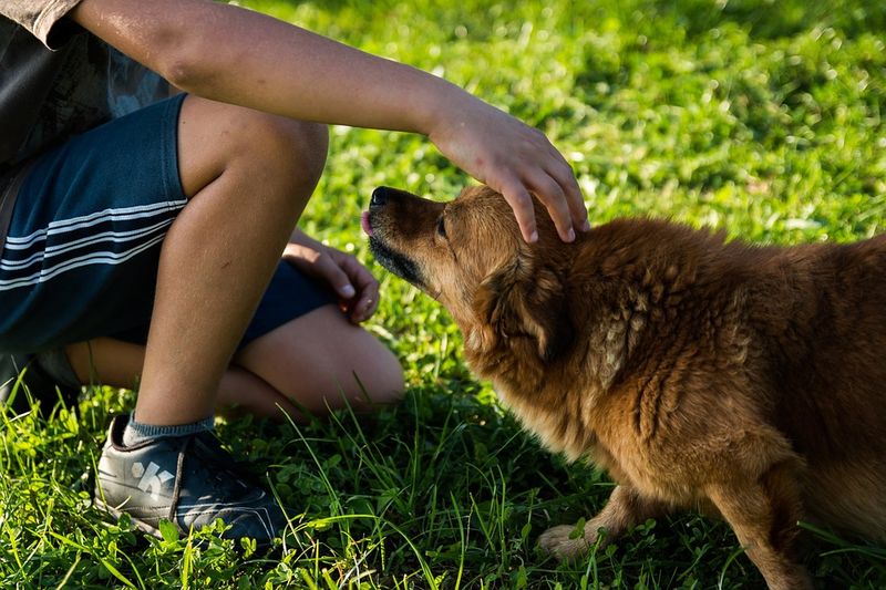 Als sein Hund eingeschläfert wird, sagt dieser Junge etwas Wundervolles!