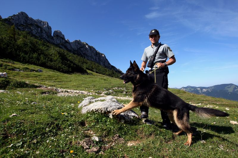 Dein Hund kennt dich besser als du denkst!