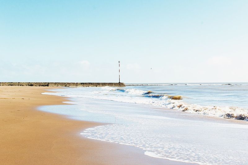 Am Strand von Sibirien wurde eine mysteriöse Kreatur entdeckt