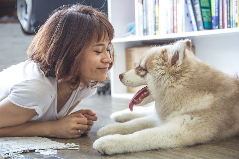 Was ist dem Hund wichtiger: Lob oder Leckerli?