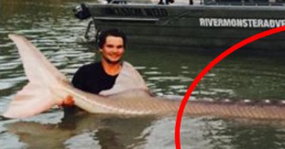 Sie haben ein legendäres Flussmonster gefangen