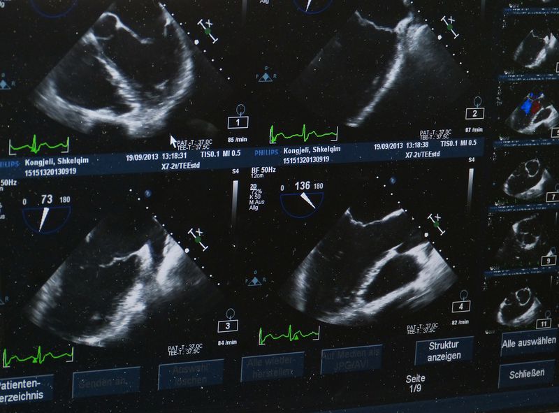 Ultraschallbilder von schwangeren Tieren