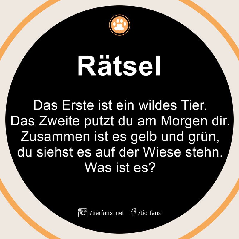 Rätsel: Um was könnte es sich handeln?