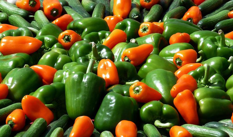 So viele Vegetarier gibt es mittlerweile in Deutschland