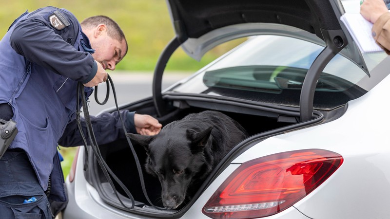 Hundehaltung im Mietshaus: In schwerwiegenden Fällen kann es passieren, dass die Polizei eingeschaltet wird.