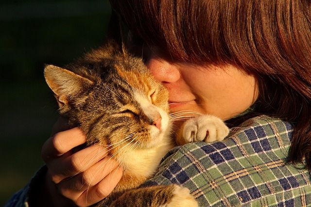 Katzenmensch, die ihre Katze streichelt