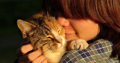 Gibt es wirklich Katzen- und Hundemenschen?