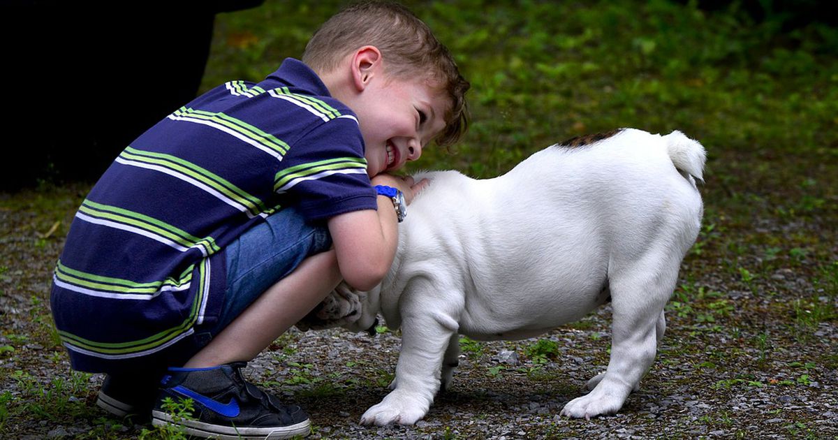 Dieser Junge überlebt den Krebs und rettet einem dreibeinigen Hund das