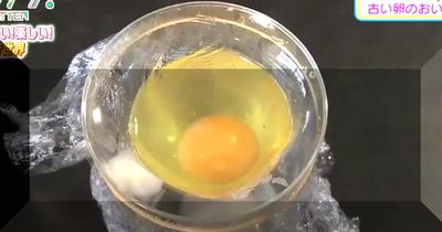 Japanische Schüler wollen Küken ohne Ei brüten