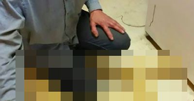 Dieses ungewöhnliche Haustier war spurlos verschwunden