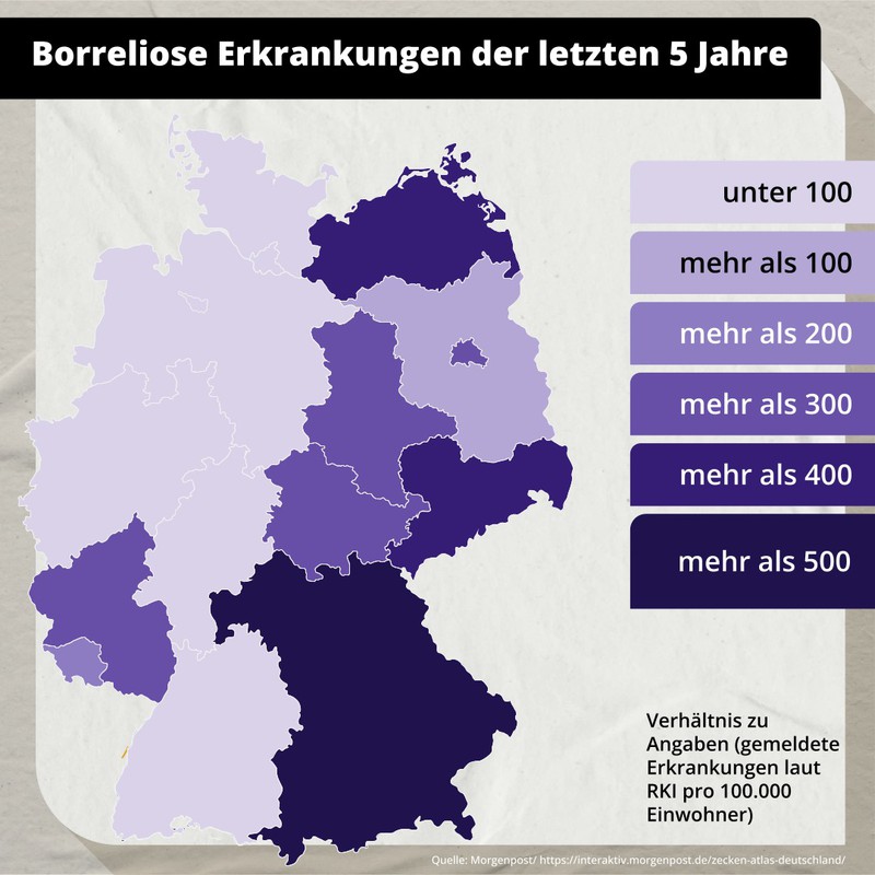 Borreliose ist in Deutschland deutlich häufiger als FSME.