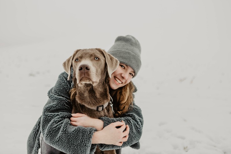 Labrador Retriever sind so warmherzig wie Menschen mit dem Sternzeichen Krebs.