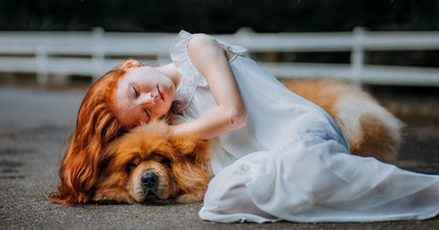 Dein Sternzeichen verrät, welcher Hund zu dir passt!