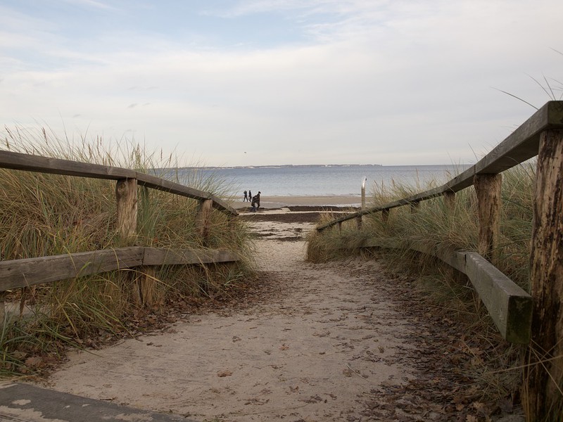 Dieses Bild zeigt einen Strand in Travemünde, wo man auch mit Hund verreisen kann.