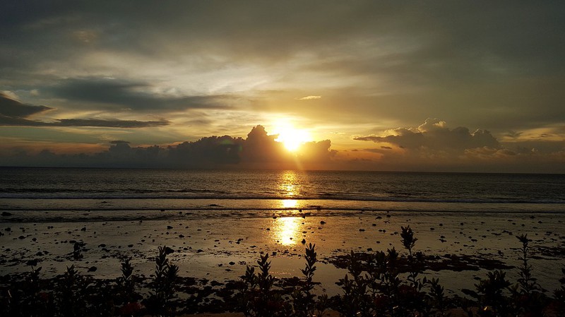 Dieses Bild zeigt einen Strand in Büsum, wo man auch mit Hund verreisen kann.