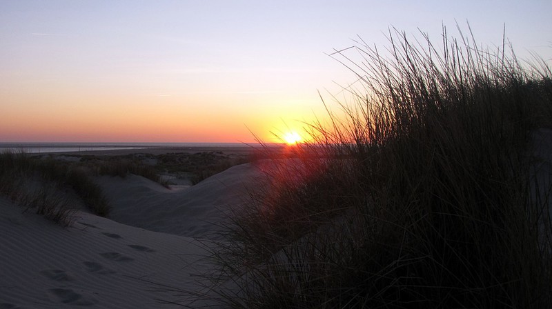 Dieses Bild zeigt einen Strand in Borkum, wo man auch mit Hund verreisen kann.