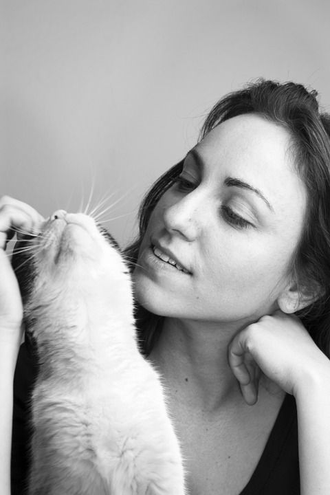 Zu sehen ist eine kuschelnde Katze und es geht um die Bedeutung von kuschelnden Katzen.