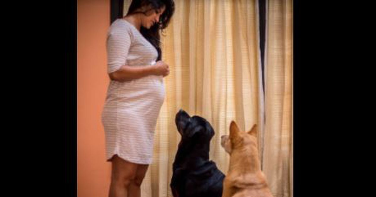 Weil sie schwanger ist, soll sie all ihre Hunde abgeben
