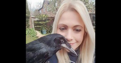 Er ist ein ganz besonderes Adoptivkind