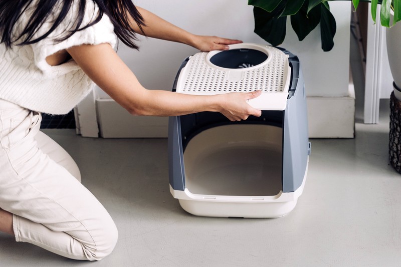 Katzentoiletten mit Deckeln sind eher ungeeignet.
