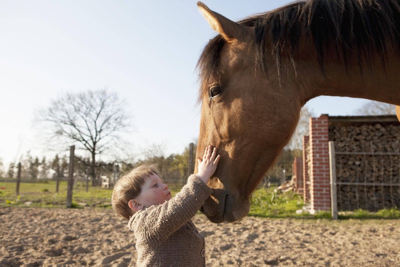 Erst ist es ruhig, dann fängt das Baby neben dem Pferd an zu schreien