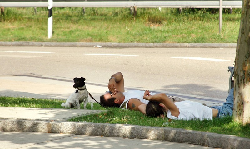 Bei längeren Fahrten sind Pausen für Tiere unerlässlich.