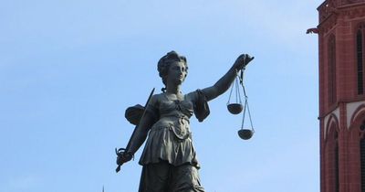 Papagei wird Zeuge vor Gericht