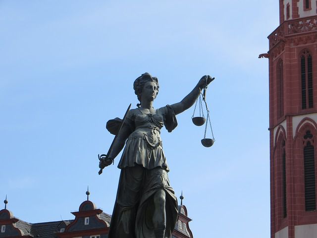 Papagei wird Zeuge vor Gericht