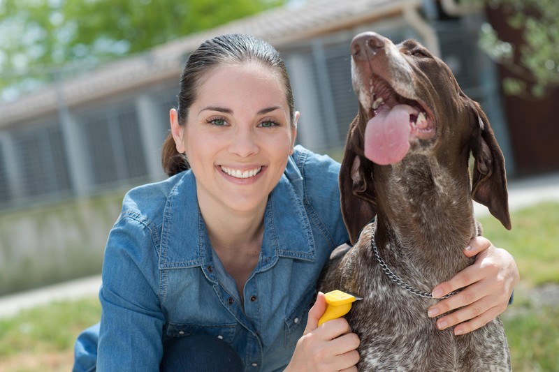 Wie süß: Frau rettet Hunde aus Tierheimen und bildet sie aus