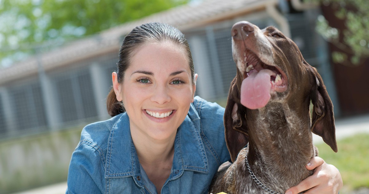 Wie süß: Frau rettet Hunde aus Tierheimen und bildet sie aus