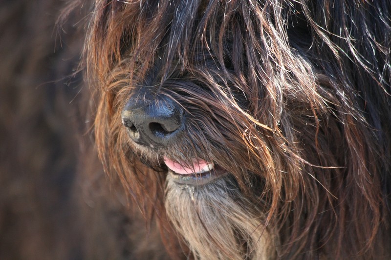 Auf die Dinge solltest du von Anfang an achten.