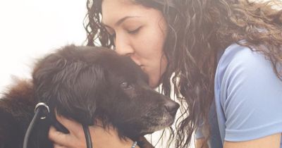Sie will einen Hund adoptieren, doch merkt, dass die restlichen 250 auch Hilfe brauchen