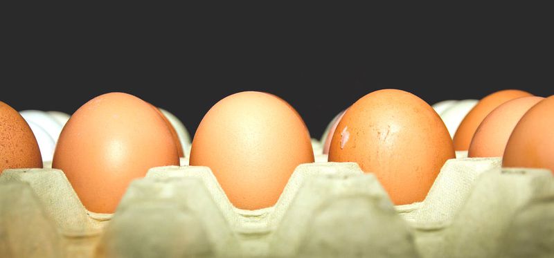 Diese Lebensmittel werden jetzt wegen des Fipronil-Skandals zurückgerufen: