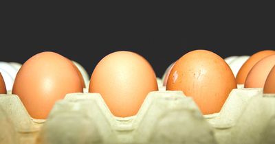 Diese Lebensmittel werden jetzt wegen des Fipronil-Skandals zurückgerufen:
