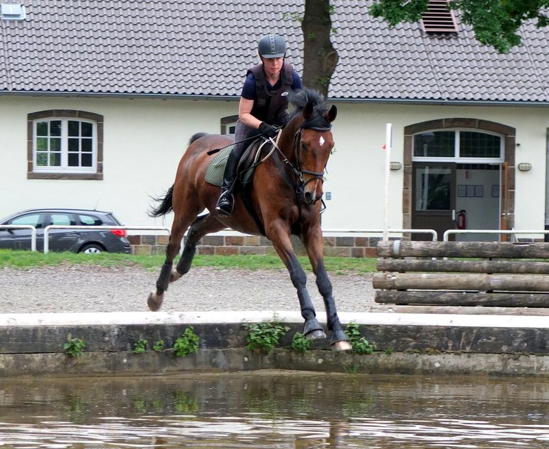 Dramatischer Unfall: Pferd stürzt mit Reiterin in die Isar