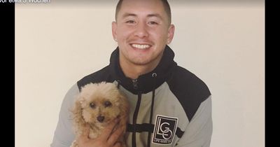 Sein Hund war plötzlich verschwunden