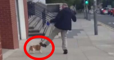 Als sie sehen, wie der Mann dem kleinen Hund ins Gesicht tritt, sind sie sprachlos.