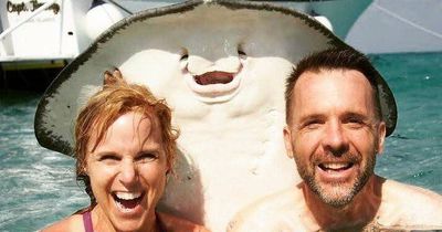 Diese Photobombs sind einfach tierisch lustig!