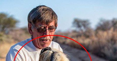 Sein bester Freund ist ein Löwe