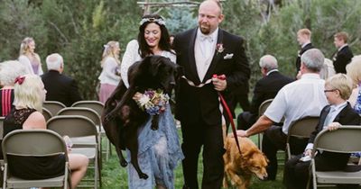 Ihr Hund ist sterbenskrank - doch ohne ihn will sie nicht heiraten
