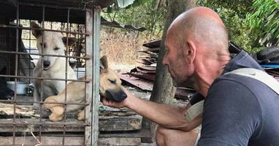 Er rettete über 300 Hunde vor dem sicheren Tod