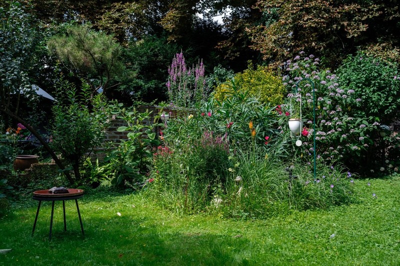 Ein naturnaher Garten ist ein Paradies für Vögel.