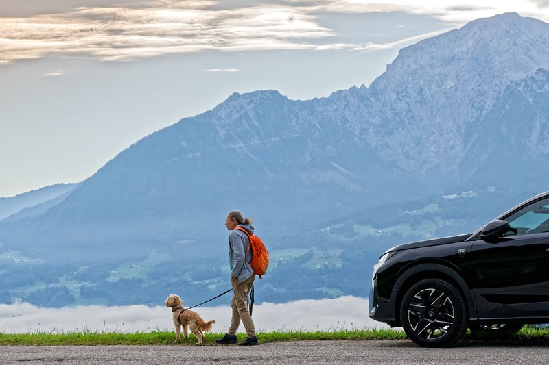 Viele Menschen nehmen ihren Hund mit dem Auto mit in den Urlaub.