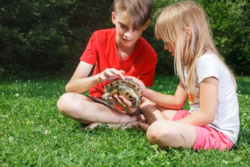 Der erste Tierrische Mitbewohner