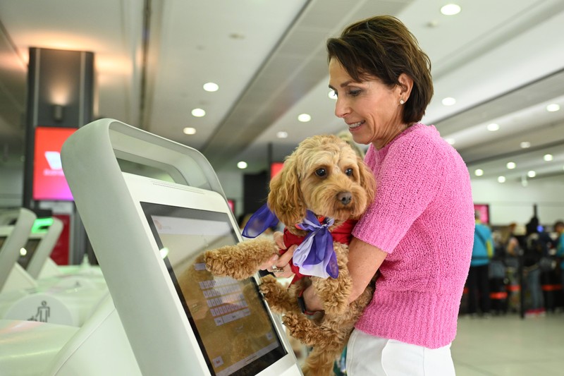 Nicht jede Fluggesellschaft bietet sich für Reisen mit Hunden gut an.